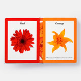 Rainbows in Bloom: Discovering Colors with Flowers