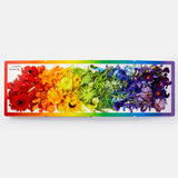 Rainbows in Bloom: Discovering Colors with Flowers