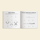 How to Draw Bugs for Kids (Butterflies, Bees, Ladybugs)