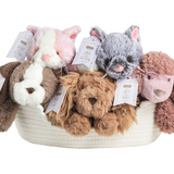 Puppies and Kittens Plush Pals