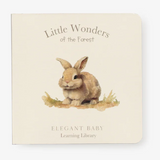 Little Wonders Book