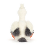Keli Pelican