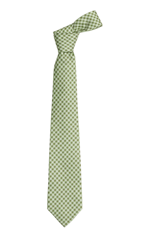 Neck Tie - Watercress Gingham