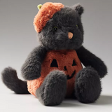 Pumpkin Kitty