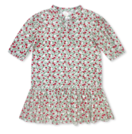 Sophia Dress- Festive Floral
