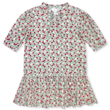 Sophia Dress - Festive Floral
