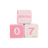 The Beaufort Bonnet Company Hamptons Hot Pink Blaylock Blocks