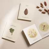 Our Little Adventures Board Book Box Set for Kids