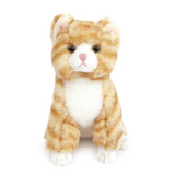 Chichi Kitty Small