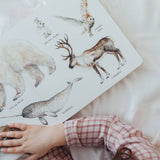 Our Big Book of Animals (Board Book)