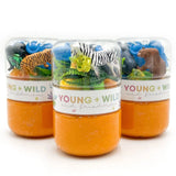 Grab & Go Dough Jar - Zoo